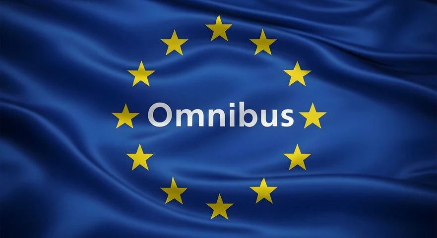 Digital Omnibus on AI - European Parliament Draft Report